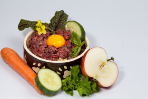 Най-важните хранителни вещества за кучето